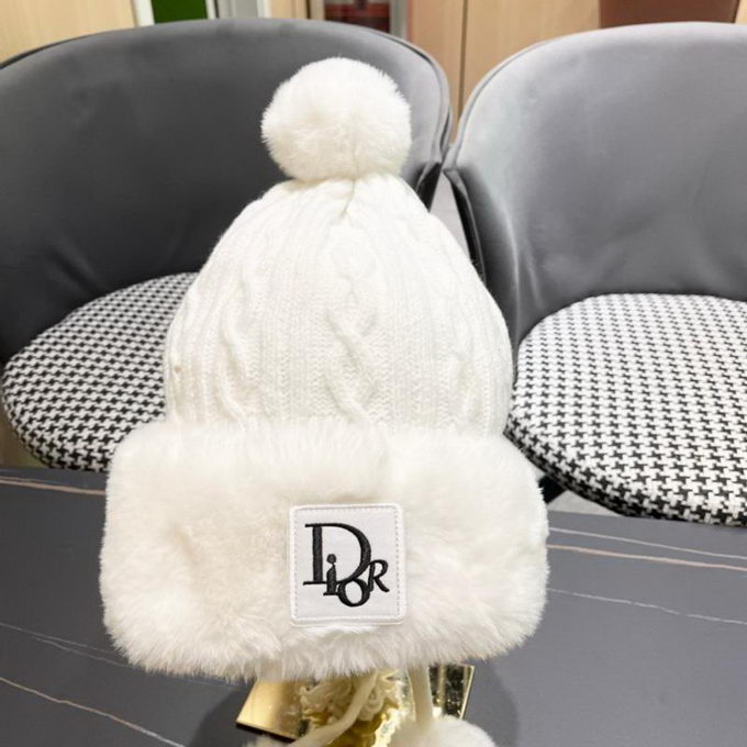Dior Beanie ID:20260111-41